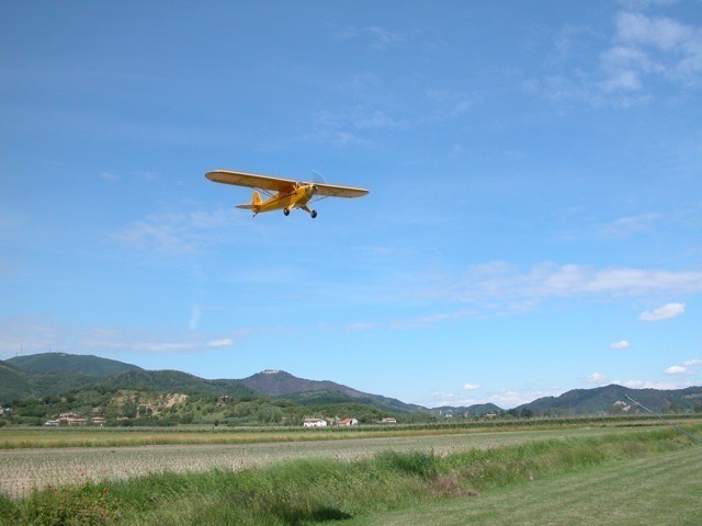 Loading Image